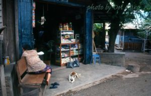 1272244_587524261384091_7197903723691647700_o