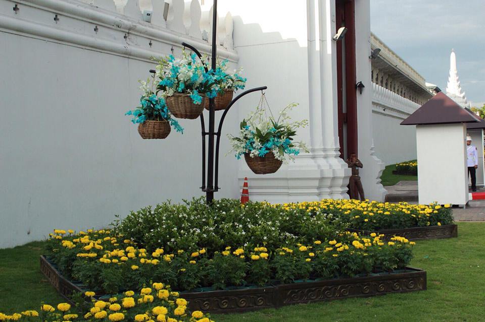 15281084_10211880573477925_689618530_n