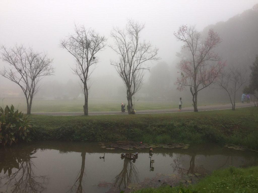 เชียงใหม่ฝนโปรยปราย4