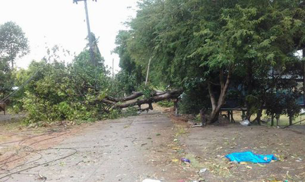 201703100721594-20060327152708