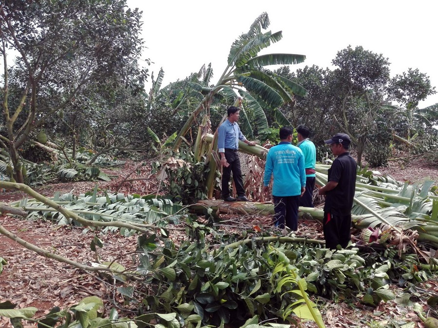 201703101424307-20030220172247