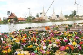 ปีวอก (ลิง) เริ่มตั้งแต่หลังลอยกระทง ปี 2558 ที่มีขยะกระทงลอยเกลื่อน (ภาพนี้บริเวณทุ่งหันตรา อ.อุทัย จ. พระนครศรีอยุธยา)