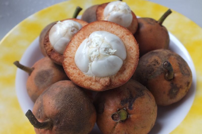 ลังแข หรือลำแข