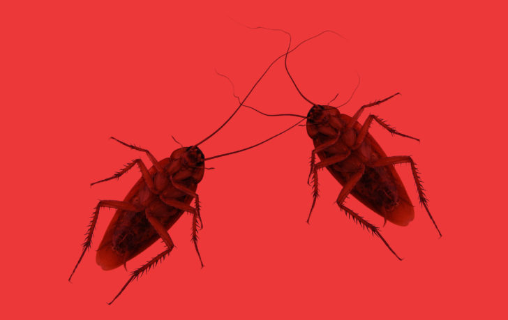 22