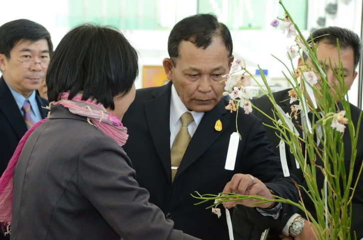 พล.อ.ดาว์พงษ์ รัตนสุวรรณ