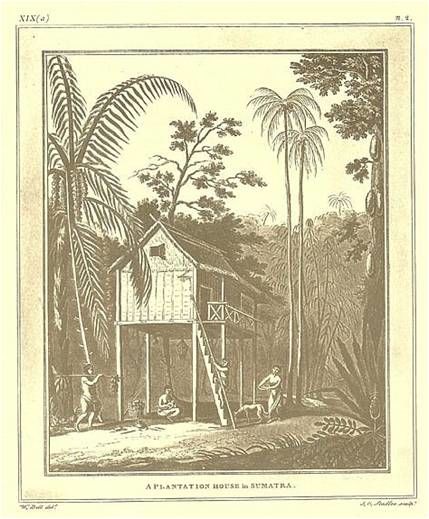 ภาพลายเส้นบ้านในสุมาตรา อินโดนีเซีย พ.ศ. 2353 โดย W. Bell delt., J.G. Stadler sculpt. (จากหนังสือ The History of Sumatra, Published by William Marsden, 1810.)