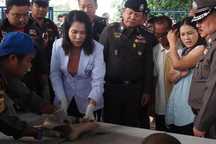ชิ้นส่วน