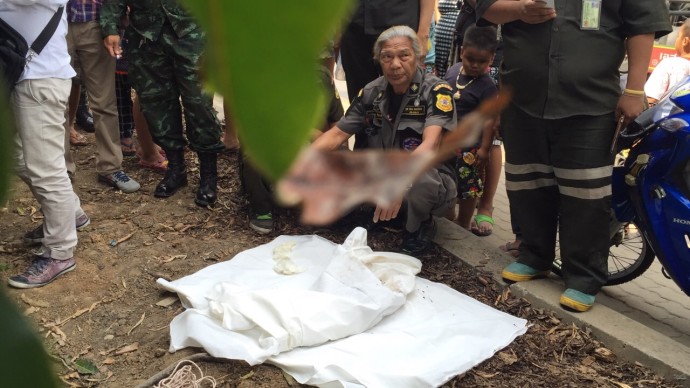 ทารก2