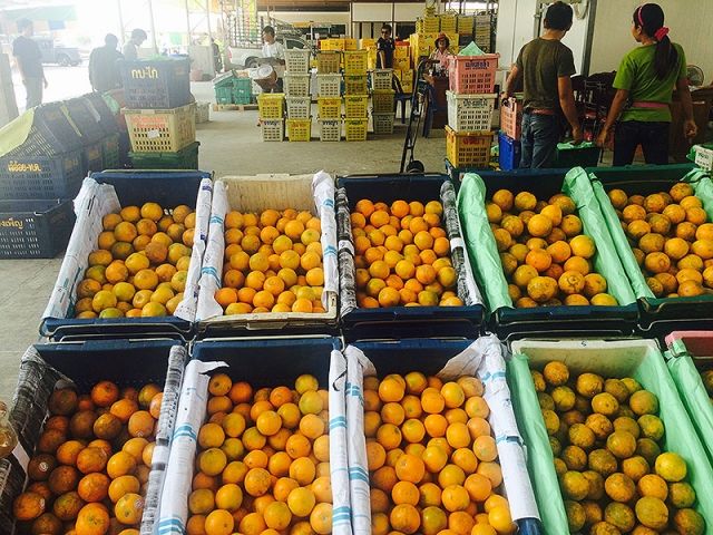 ตลาดผลไม้