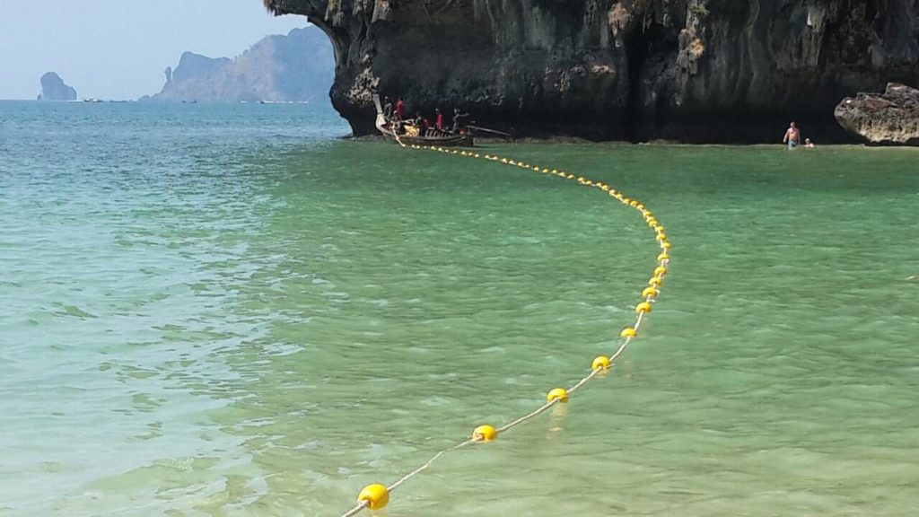 201603141446204-20151120115129