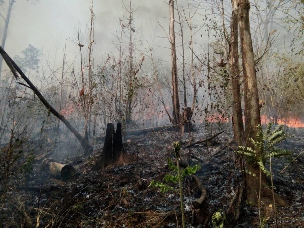 201603260856443-20110510201751