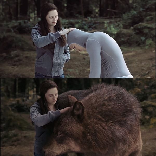 Twilight Saga: Eclipse 