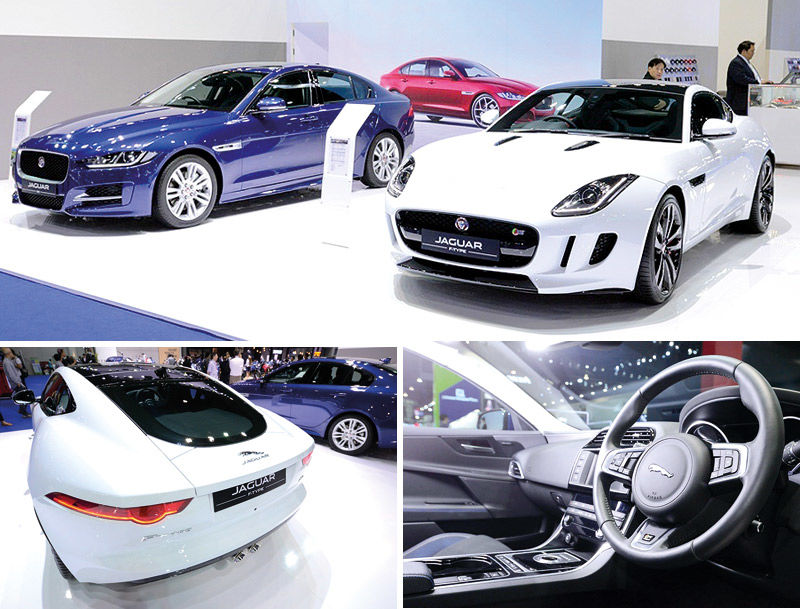car01310359p2