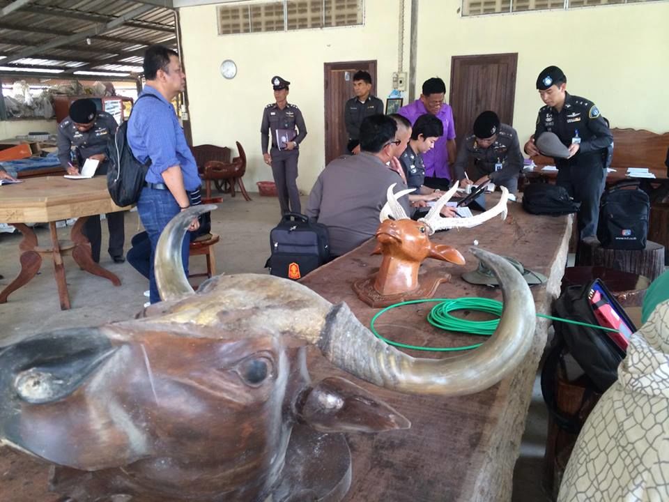 12966704_1337571076258533_166835523_n