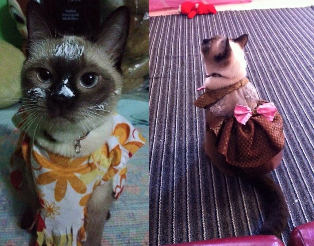 น้ำเพชร มีชุดหลากหลายคอลเลคชั่นในสงกรานต์ปีนี้ 