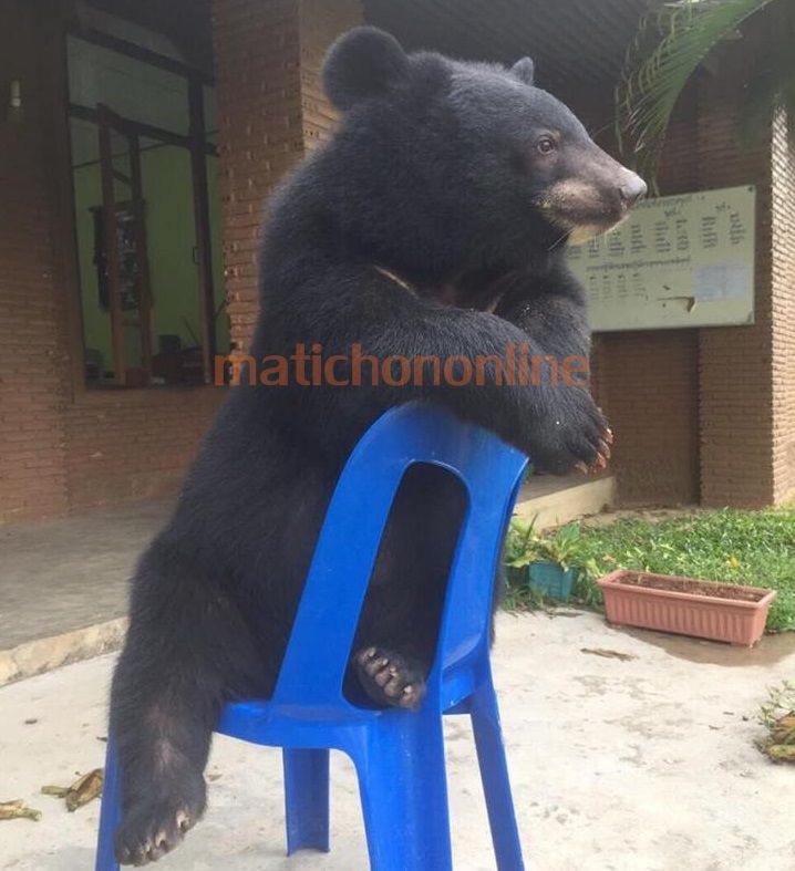 777