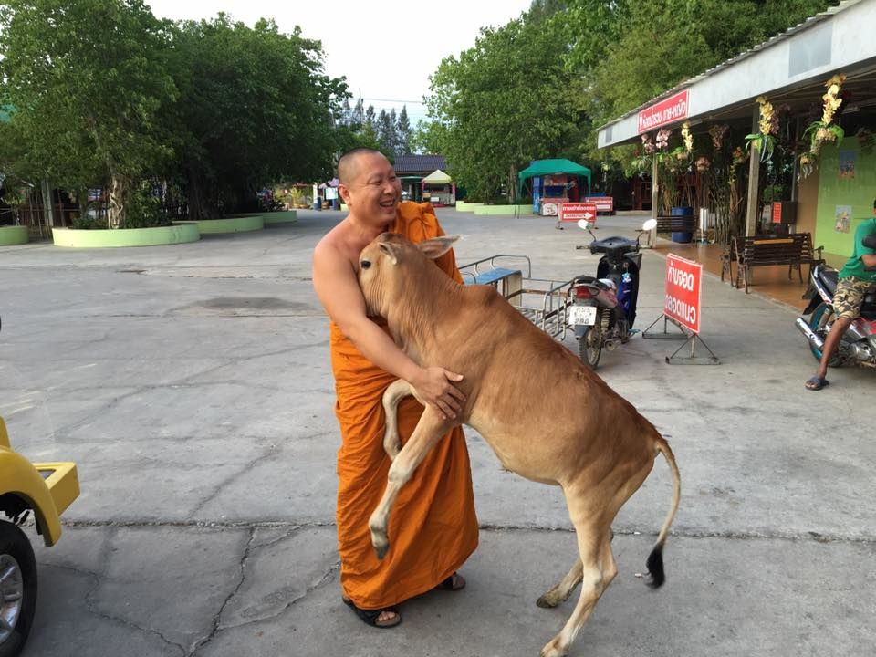 เจ้าเรียกทรัพย์ วัดสมาน