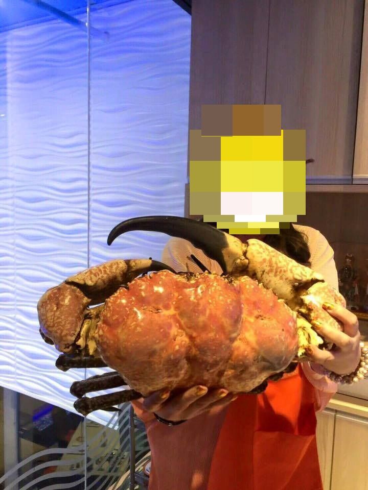 13267755_1022013821208976_7456049178148340507_n