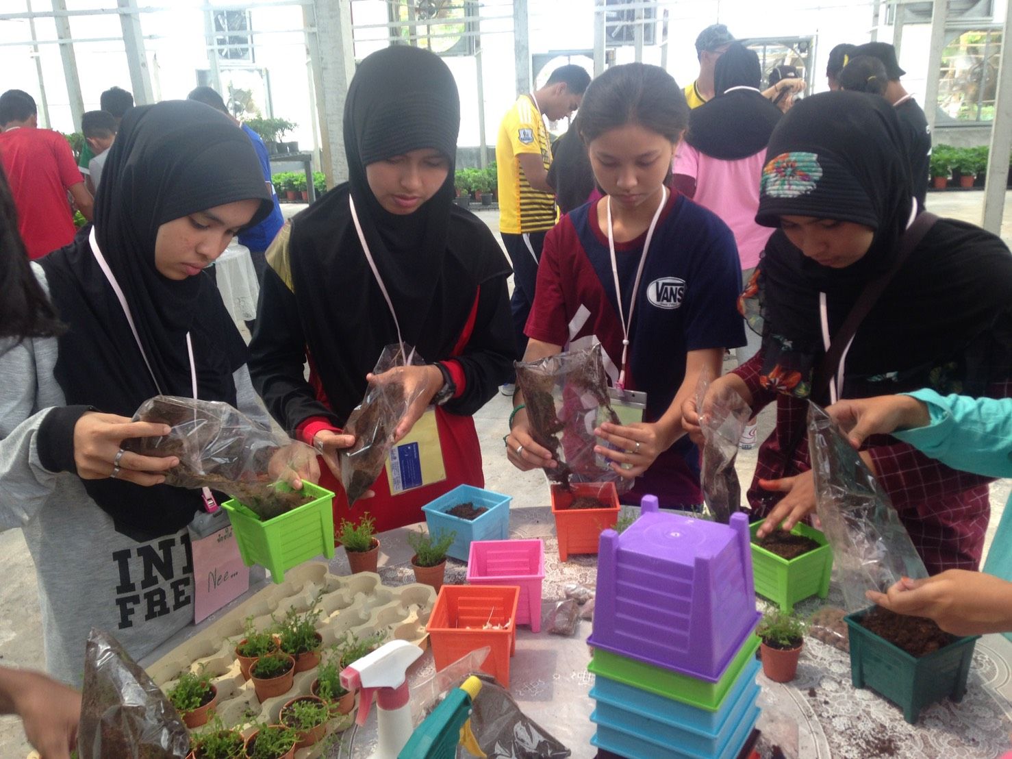S__9076824