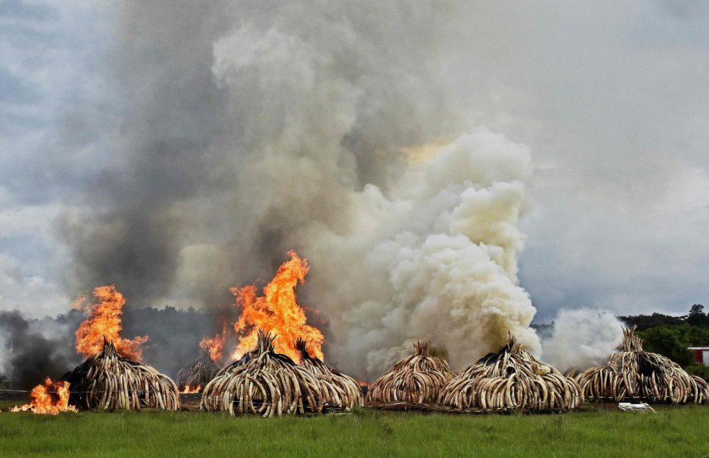 AFP PHOTO / CARL DE SOUZA