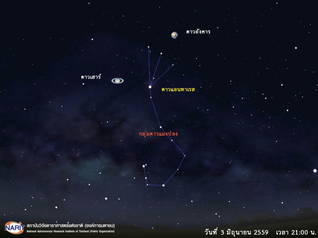 starchart3Jun