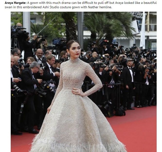 ชมพู่ อารยา ในสื่อไอร์แลนด์ เมื่อปี 2015