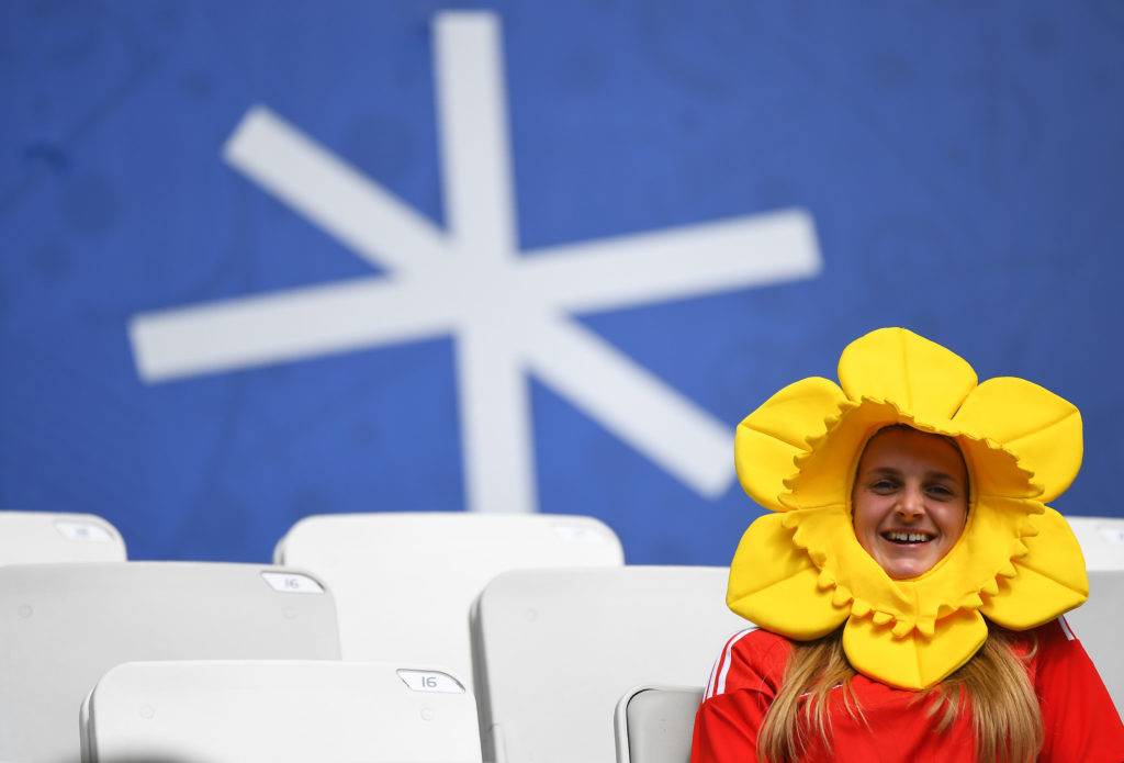 FBL-EURO-2016-MATCH3-WAL-SVK-FANS