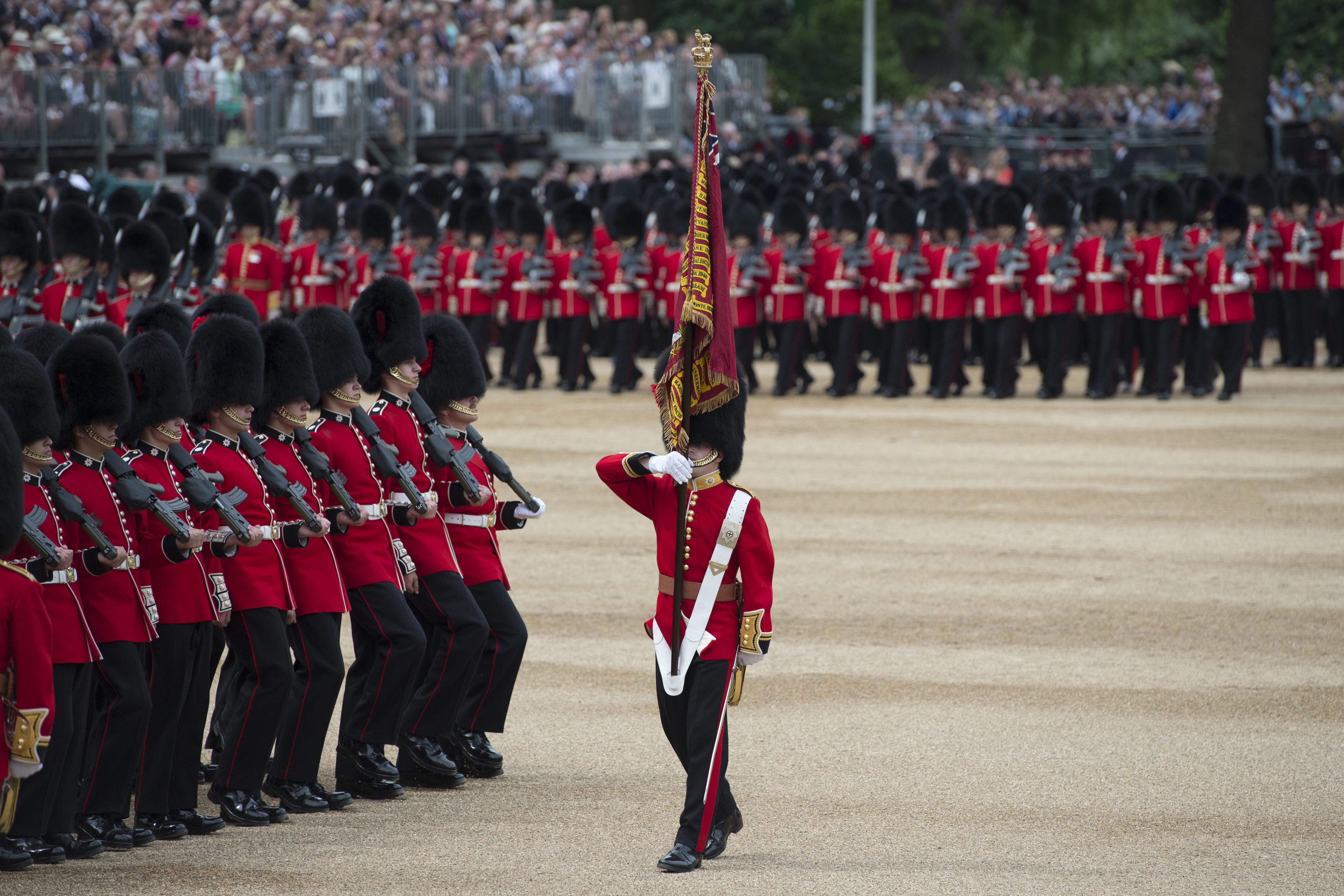 AFP PHOTO / OLI SCARFF