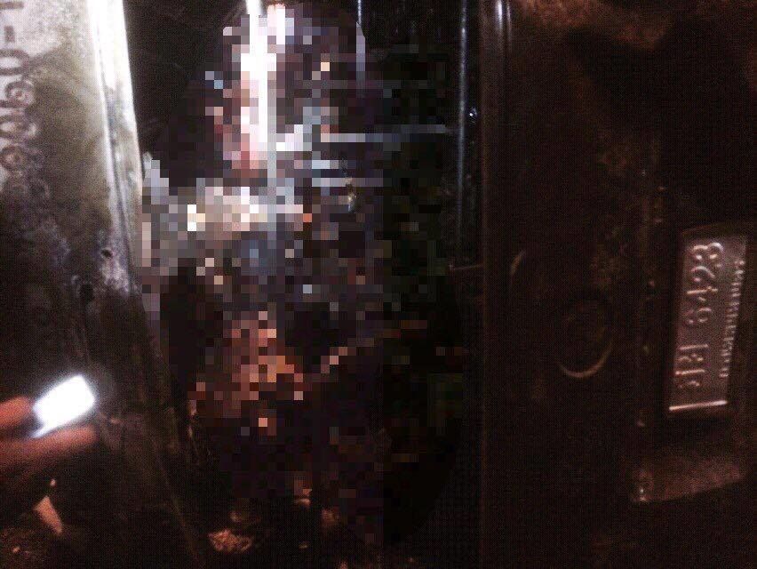13436066_10208897591412730_949957651_n