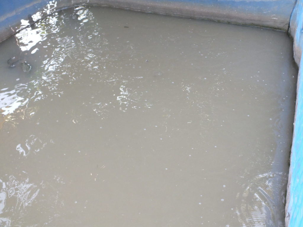 201606030947455-20041020133743