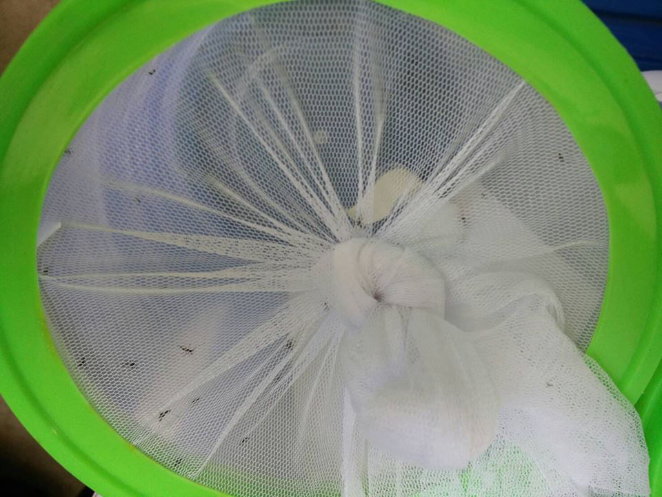 201606151723146-20041223155917
