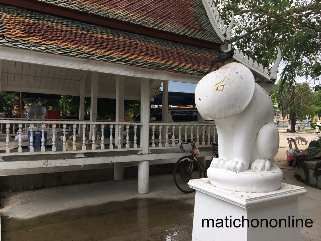 เสือปลัดขิก มัอักขระด้านหลัง หันหน้าสู่คลองบางขุนเทียน