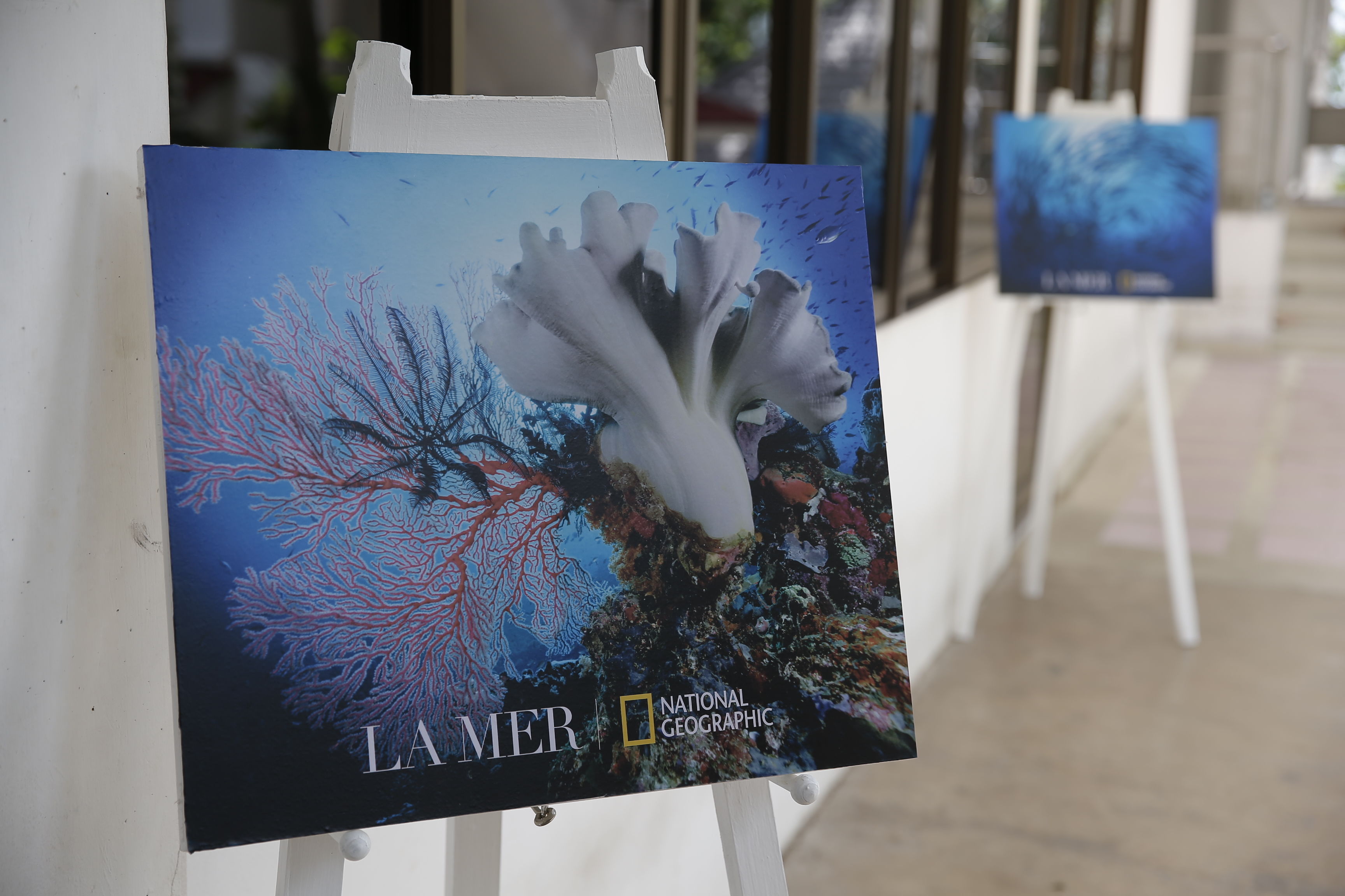 LaMer's BlueHeart_29