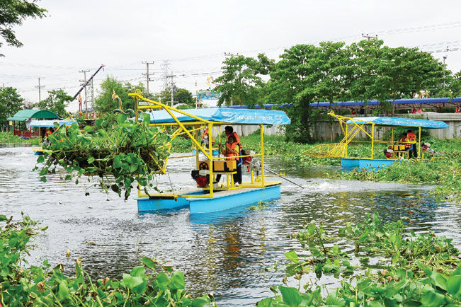 เรือผักตบ กรมชล