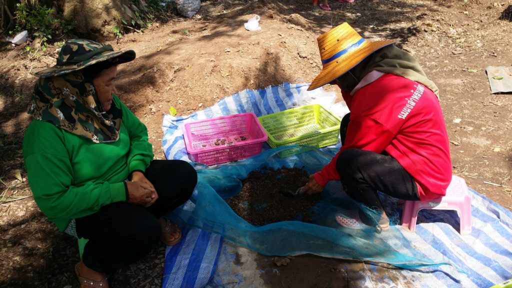 แหล่งโบราณคดีบ้านโคกมะกอก