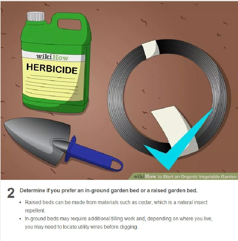 How to Start an Organic Vegetable Garden 6 Steps_20160606154829-02