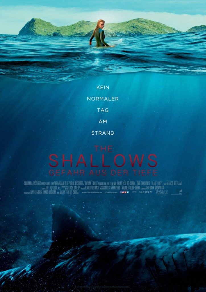 the shallows