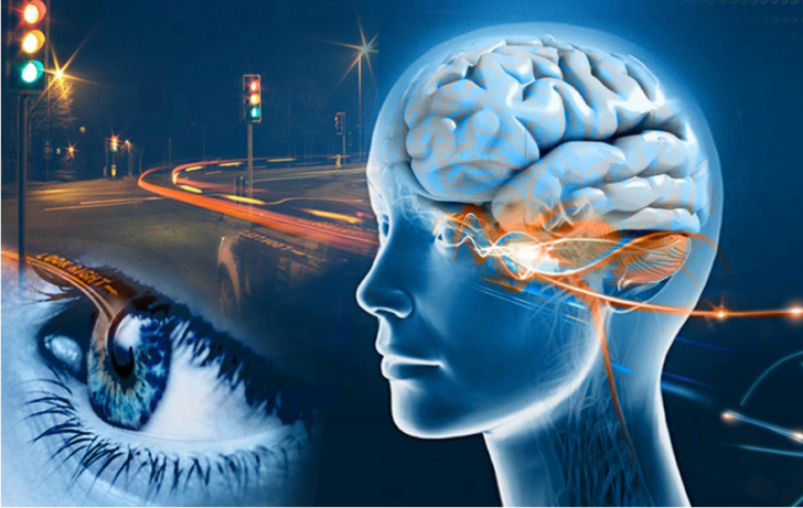 eye-brain-photo-neuropsych-workshop1