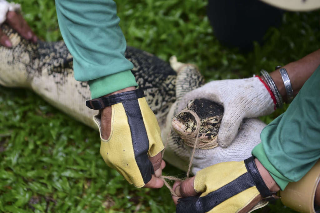THAILAND-ANIMALS-ENIVRONMENT