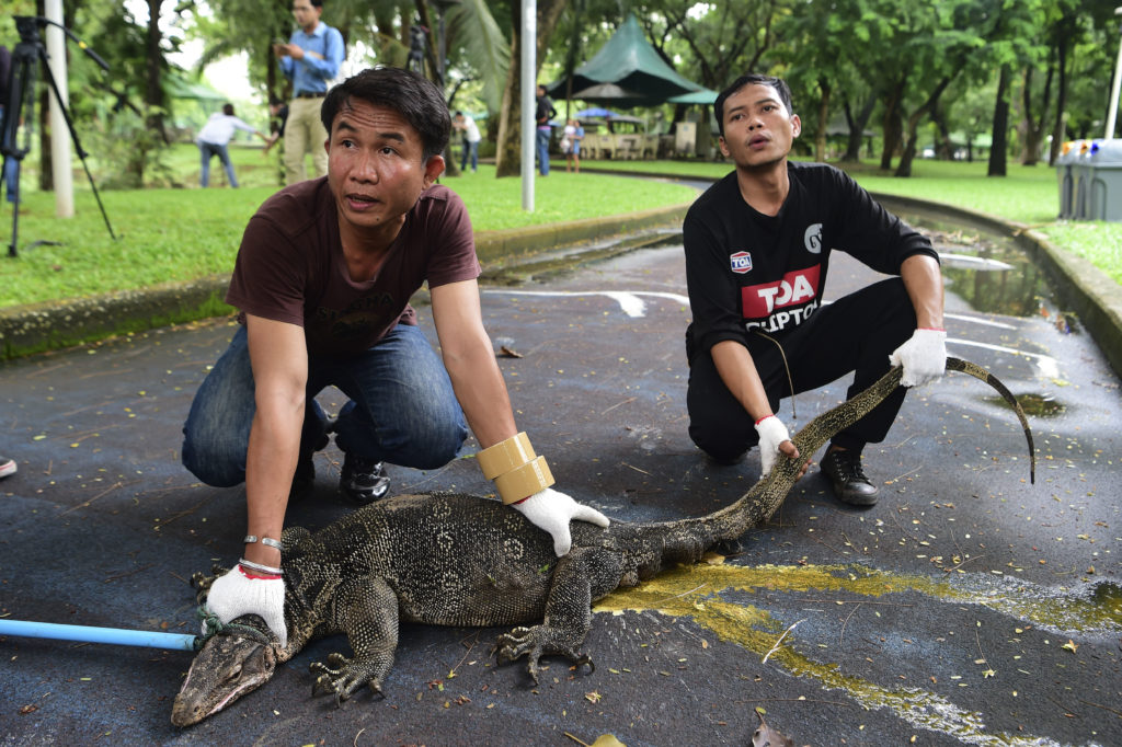 THAILAND-ANIMALS-ENIVRONMENT