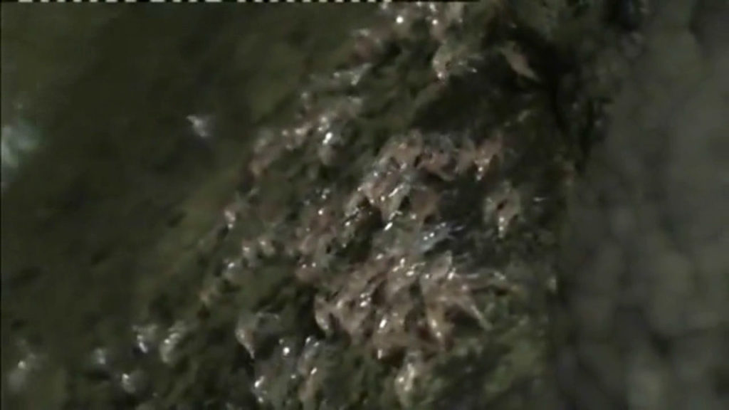 201609121158583-20041020103320