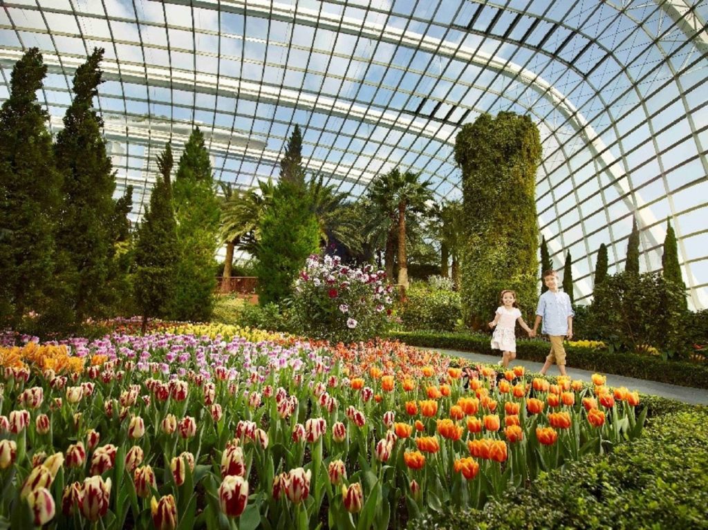 Gardens by the Bay