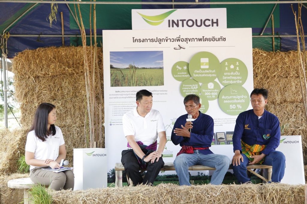 Intouch Rice Project 1