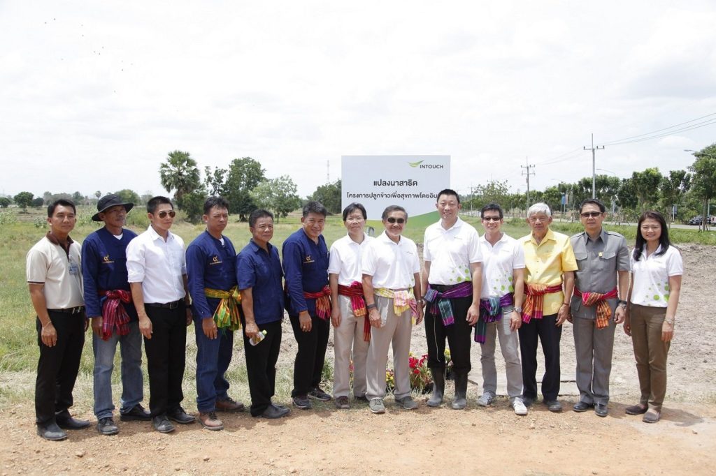 Intouch Rice Project 4
