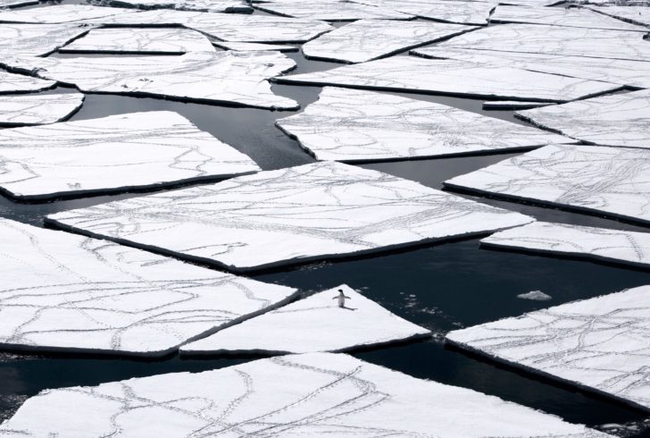 ANTARCTICA-AUSTRALIA-ENVIRONMENT-CONSERVATION