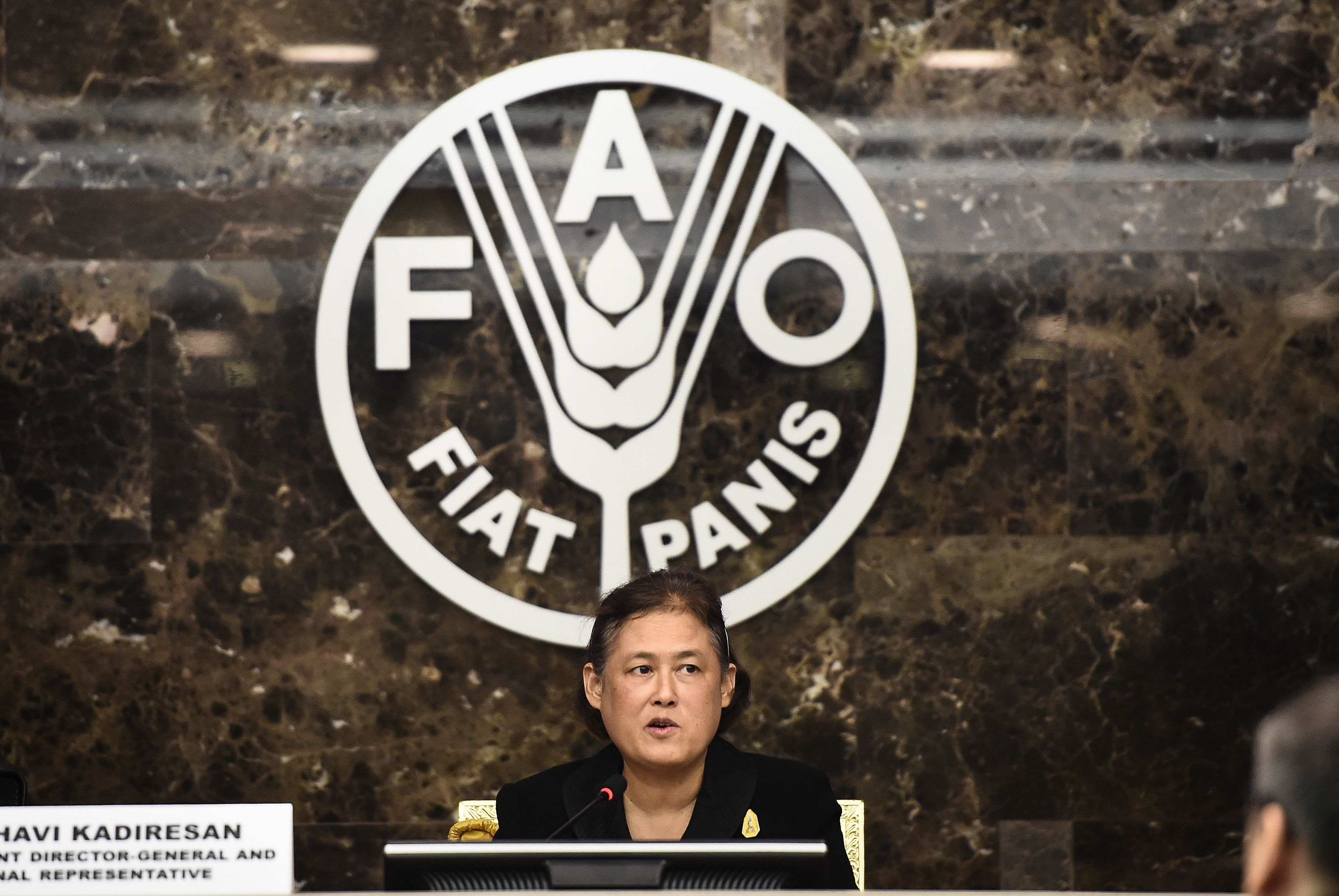 AFP PHOTO / LILLIAN SUWANRUMPHA