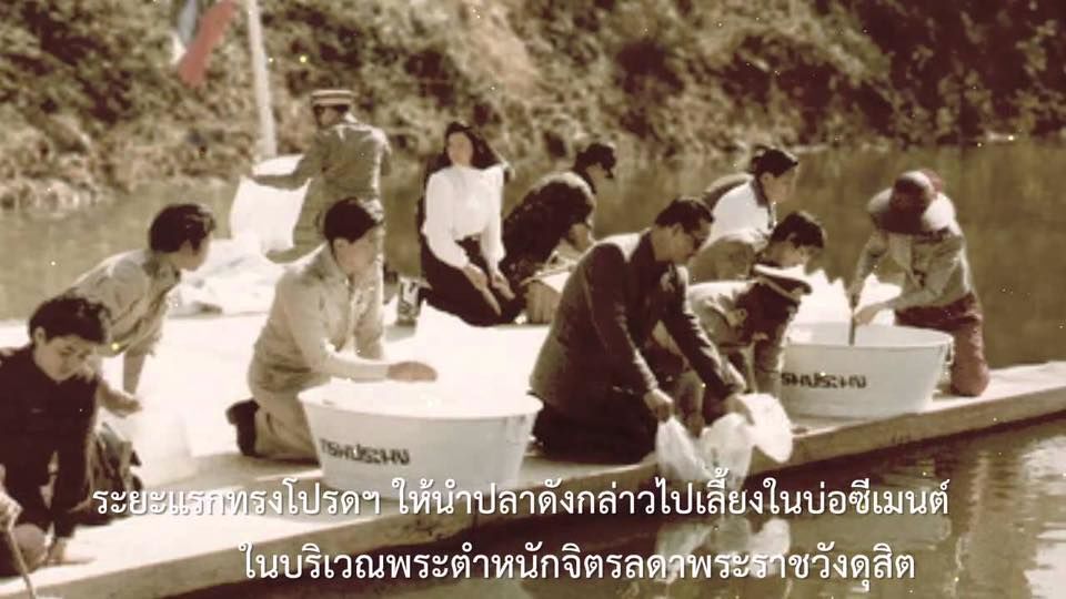 ปลา