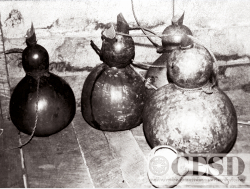  คนทุกเผ่าพันธุ์ในอุษาคเนย์ นับถือน้ำเต้าเป็นพืชศักดิ์สิทธิ์ต้องเอาน้ำเต้าแห้งไว้ประจำบ้าน แล้วใช้งานในชีวิตประจำวัน