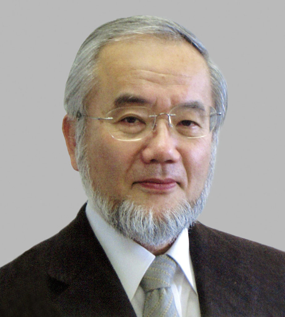นายโยชิโนริ โอสุมิ นักชีววิทยาด้านเซลชาวญี่ปุ่น (AFP)