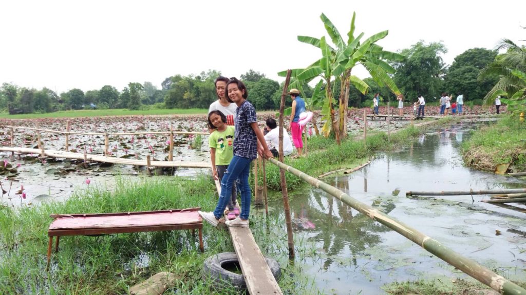 201610081225242-20070201100444